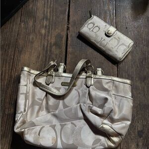 Elegant Beige Designer Tote and Wallet Set